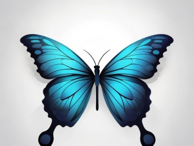 蝶变，扁平化商务PPT模板，展示变化与挑战的可视化解决方案