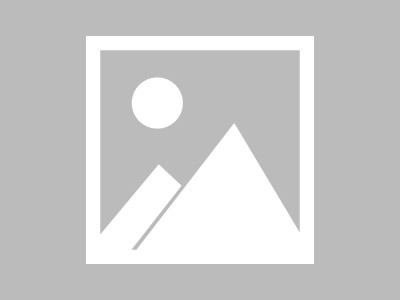 数字化转型与用户价值，电子商务行业未来趋势分析（销售额增长、用户活跃度提升等）